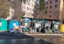 NU SE VOR MAJORA TARIFELE LA SIGHET: Acord între consilierii locali privind rezolvarea problemei colectării gunoiului