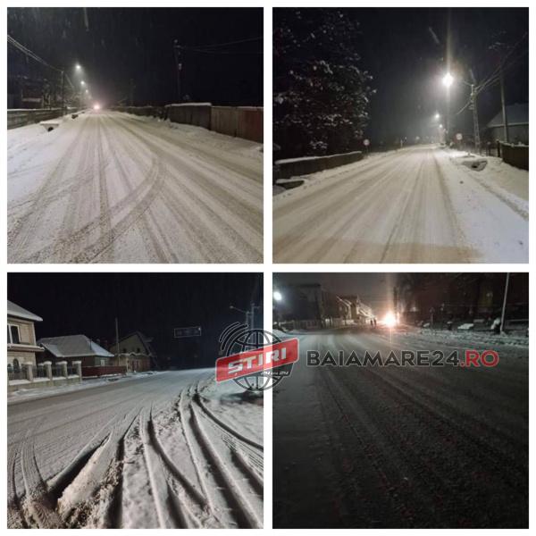 iarna 20 ian 2021 (1)