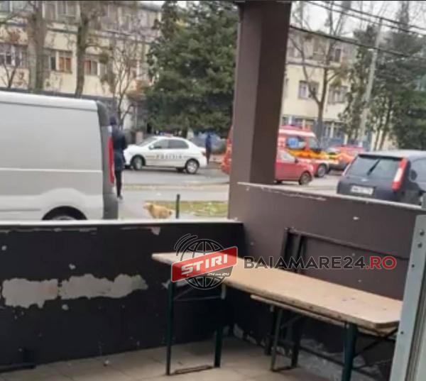 147067567_265664558246674_5447904427567552869_n