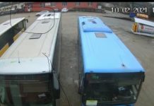 FOTO,VIDEO: Animal călcat intenționat de un autoturism într-o parcare din Baia Mare