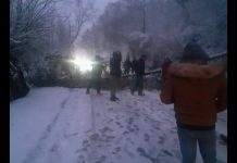 FOTO/VIDEO EXCLUSIV: Trafic blocat pe DN18. Au căzut brazii uriaşi pe şosea