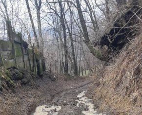 FOTO/ VIDEO EXCLUSIV: 25 DE FAMILII DIN ORAȘUL VIȘEU DE SUS ”ÎNOATĂ” ÎN NOROAIE PE STRADA MERILOR