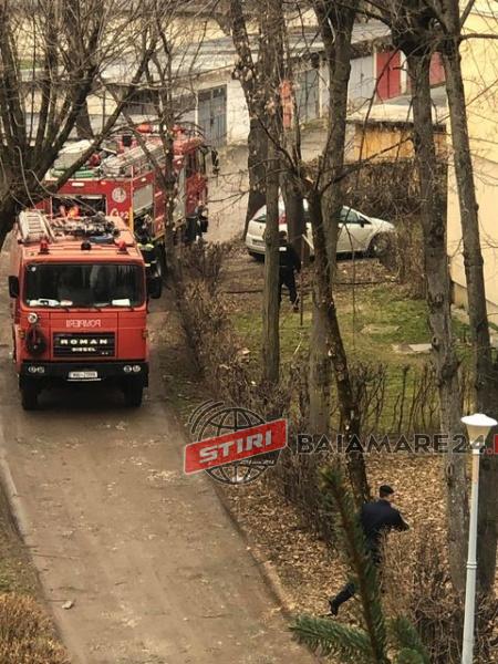 157164299_248529786897823_7860669130712272191_n