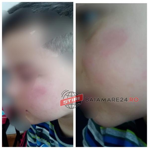 157695152_268110941453213_4938870295100536413_n