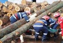 MARAMUREȘUL – locul 3 în topul județelor cu cele mai multe accidente de muncă