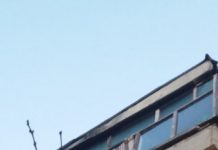 FOTO CITITORI: FOCAR DE INFECȚIE ÎNTR-UN APARTAMENT SITUAT PE STRADA GRĂNICERILOR DIN BAIA MARE