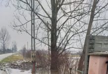 FOTO/VIDEO: CURTEA UNUI LOCALNIC DIN DUMBRĂVIȚA ESTE INUNDATĂ ZI DE ZI DE VECINI. PRIMĂRIA SE SPALĂ PE MÂINI