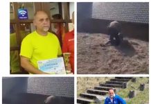 FOTO/VIDEO: RĂZBOI DIN CAUZA RIVALITĂȚII FCBS – DINAMO: Fost antrenor de la Minerul Cavnic cercetat de poliție după ce a pălmuit un copil de 15 ani. ”M-a înjurat de mamă” (actualizare)