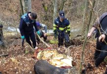 FOTO/VIDEO EXCLUSIV: Femeie de 81 de ani, dispărută de acasă de două zile, găsită decedată de polițiști, pompieri și localnici