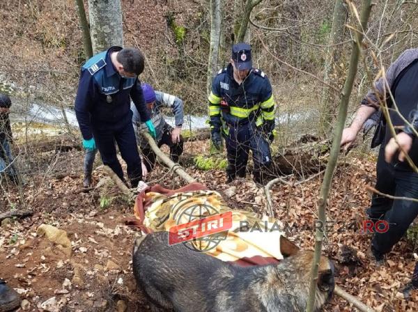 174749461_1394105444283301_3625138144908382553_n