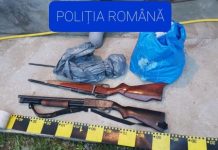PERCHEZIŢII DOMICILIARE: Arme letale, muniţie, trofee de căprior, piei de mistreț, de urs şi de alte animale descoperite la un bărbat din Lăpuş
