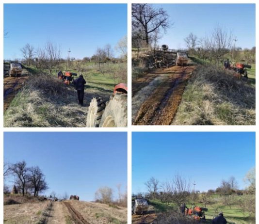 EXCLUSIV Galerie foto: S-a răsturnat cu tractorul pe un deal din Bontăieni