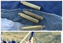 EXCLUSIV FOTO: Polițist de la Rutieră de pe Valea Izei acuzat că ar fi participat la o vânătoare de mistreț printr-o metodă interzisă în perioada de gestație (ACTUALIZARE)