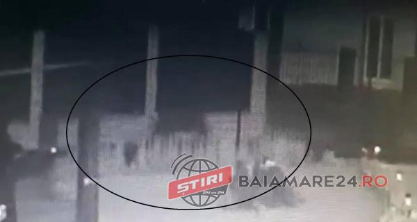 184522482_906744600170529_8751802279436658719_n