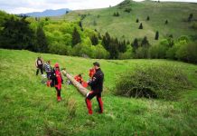 TRAGEDIE LA BUDEŞTI: Bărbat ucis de lemnul pe care-l tăia (actualizare)