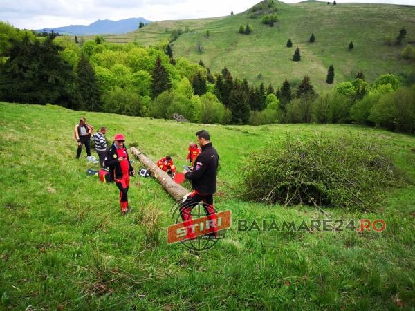 186382613_554038505595015_493421066254641688_n