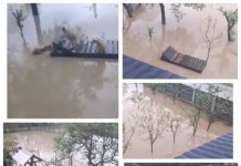 FOTO, VIDEO EXCLUSIV: Prăpăd la Berchez. Gospodării inundate şi solarii distruse