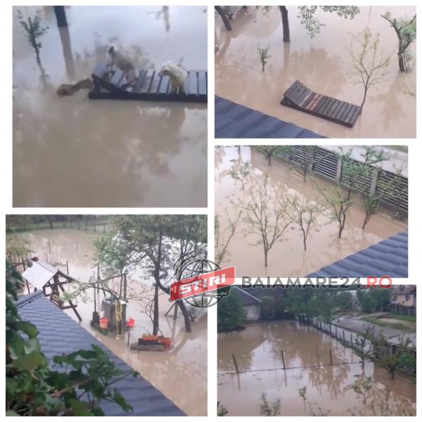 187459171_124883866299044_7837511748805428565_n