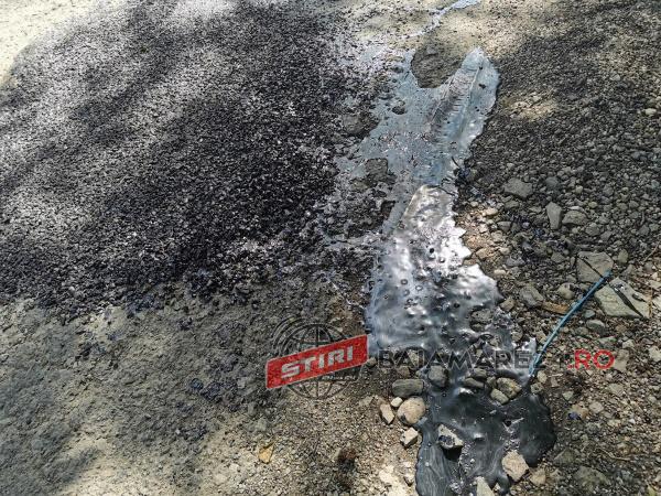 191418314_167522238712429_235943453681299120_n