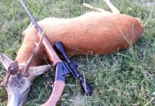 EXCLUSIV: Percheziții în ”vremea bisericii” la ROGOZ – Polițiștii au căutat probe la locuințele a doi localnici (ACTUALIZARE)