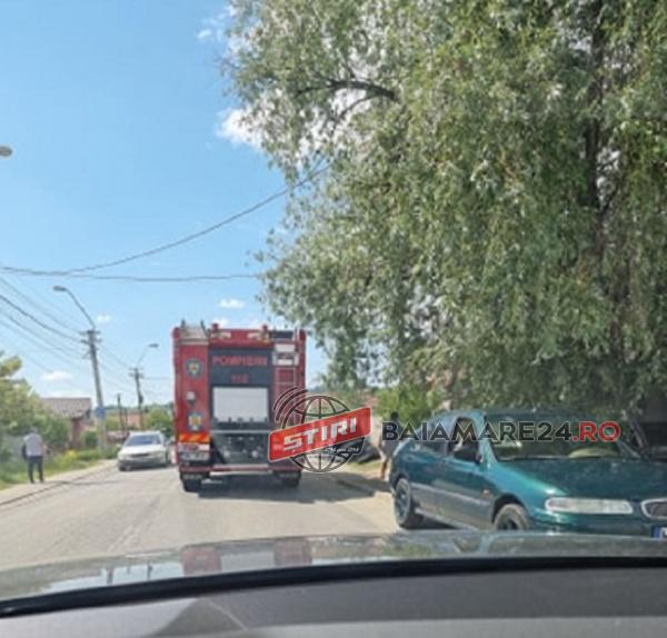 196040369_1144101469430564_2660251790302653434_n