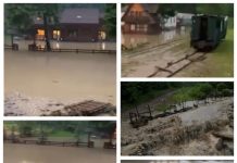 EXCLUSIV: Turiști din Cluj sinistrați pe Valea Vaserului în cabanele Ocolului Silvic Vișeu de Sus. Viitura a distrus linia ferată a Mocăniței