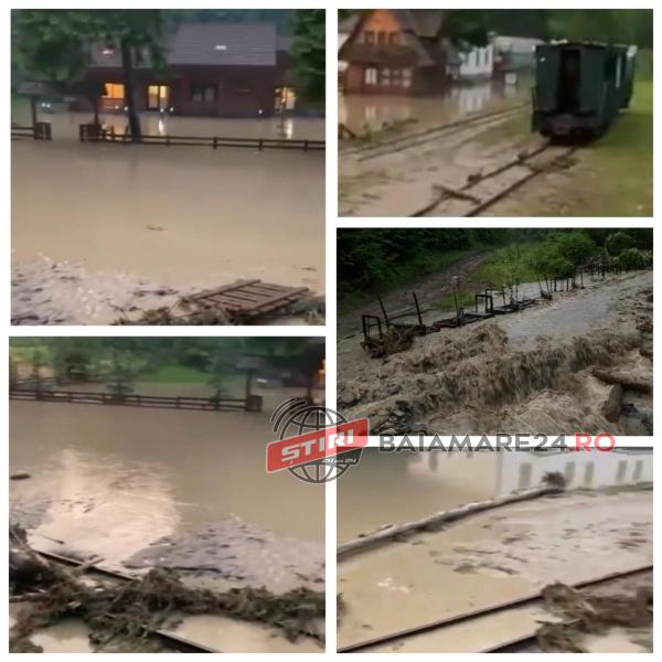 199276169_1206326369797706_1530819253548470316_n