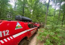 A PLECAT LA CULES DE CIUPERCI: Băiat de 14 ani, rătăcit în zona Chelinţa, căutat de salvamontişti. Minorul s-a întors acasă – ACTUALIZARE