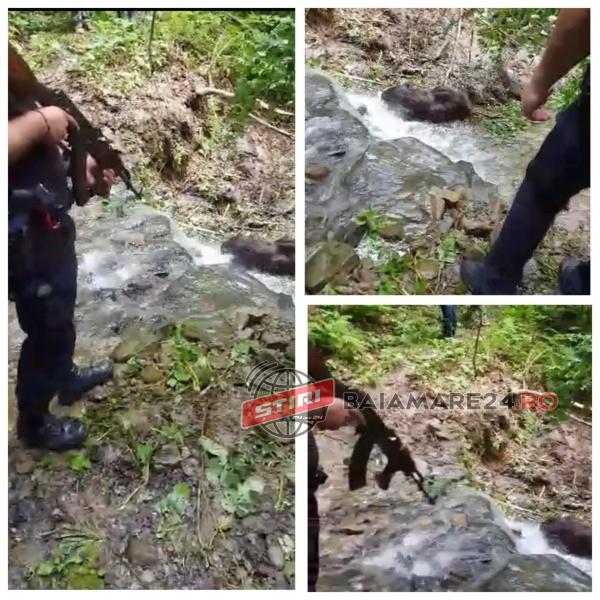 204006531_218100713509400_4850077958592719782_n