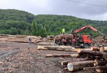 FOTO – 12 percheziții domiciliare efectuate de polițiști pe raza județelor Maramureș și Satu Mare pe linie silvică