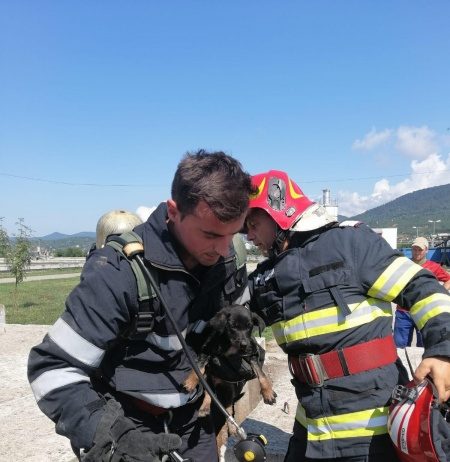VIDEO: ORICE VIAȚĂ CONTEAZĂ – Un cățelul a fost salvat dintr-un canal de pe strada Iazului din Baia Mare