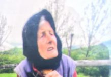 FOTO – Căutări disperate la Borșa. 40 de voluntari, poliție, jandarmerie și salvamont caută o femeie dispărută