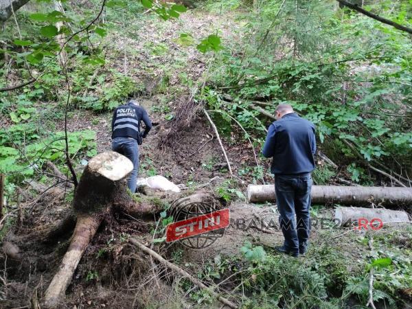 240972497_4237340356341778_2893623746628966046_n