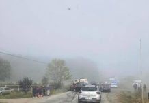 FOTO: Accident la Borcut. Coliziune între un autoturism şi un tractor ce tragea două vaci. Un copil de 9 ani rănit (actualizare)