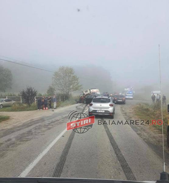 241213880_3629531607187552_715926625247677867_n