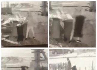 EXCLUSIV VIDEO CITITORI: ATENȚIE BĂIMĂRENI – Se fură pubelele pline cu deșeuri menajere. Recompensă 500 lei