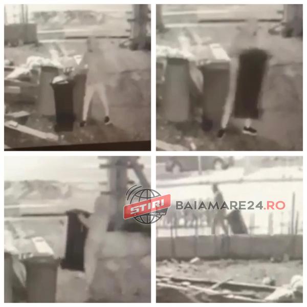 242461943_1025898664864758_7333080978416316216_n