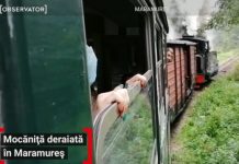 FOTO: Mocănița în care se aflau peste 150 de turişti a deraiat pe Valea Vaserului. Circulaţia feroviară a fost blocată timp de două ore