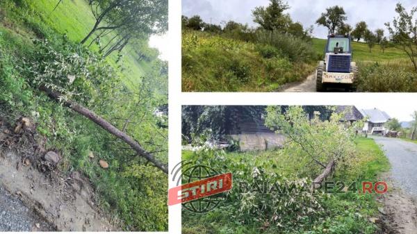 ungureni-butcure-1024x576