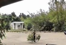 Scurt metrajul „La cireșe”, filmat în Baia Mare. VIDEO inedit cu un Nică al zilelor noastre