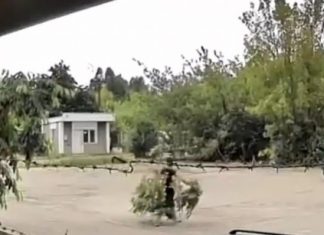 Scurt metrajul „La cireșe”, filmat în Baia Mare. VIDEO inedit cu un Nică al zilelor noastre