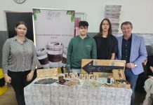 Județul Maramureș își pregătește tinerii antreprenori pentru succes: Etapa județeană a competiției „Business Plan” – 2024