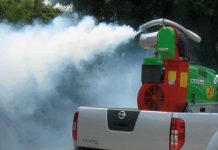 Începe campania de dezinsecţie în Baia Mare