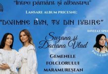 Gemenele folclorului maramureșean, Suzana și Daciana Vlad, pornesc într-un turneu de pricesne. Când ajung în Baia Mare