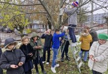 Elevii Școlii Gimnaziale Nr. 18 Baia Mare – Grijă și respect pentru protejarea păsărilor