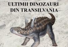 Descoperă lumea misterioasă a dinozaurilor la Muzeul de Mineralogie