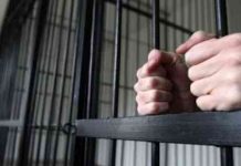 Tânără din Baia Mare, condamnată la 11 ani și 8 luni închisoare cu executare pentru trafic de minori, proxenetism și pornografie infantilă