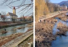 Se curăță vegetația și deșeurile din albia râului Săsar